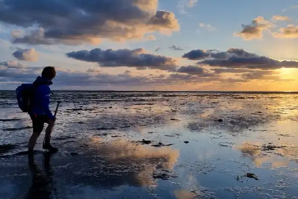 Wadexcursie Ontwakend Wad Terschelling