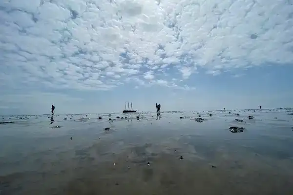 Een etmaal op het wad