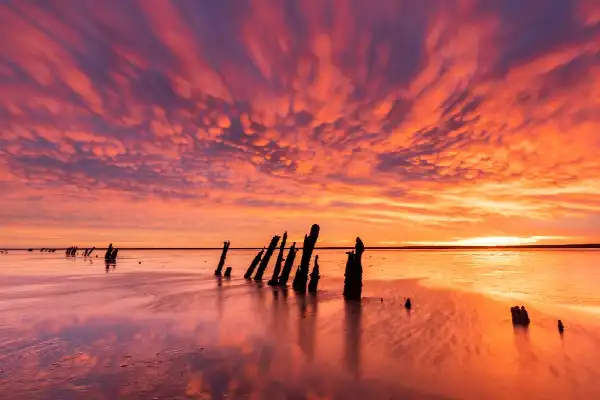Excursie op de fiets: Ritme van het Wad