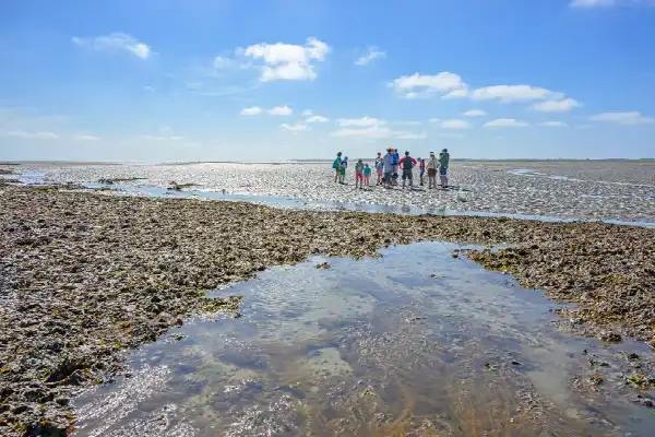 Migratie tocht op het Wad